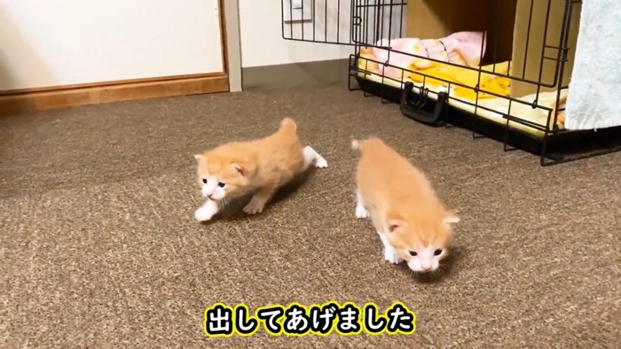 探索