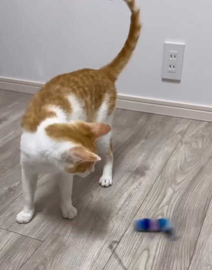 立ち上がる善くん