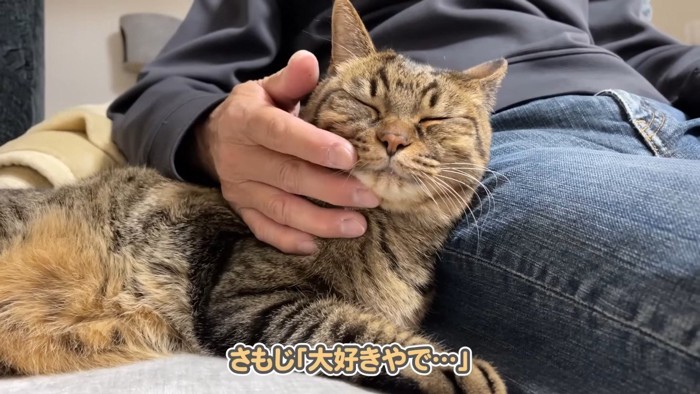 大好きやで…