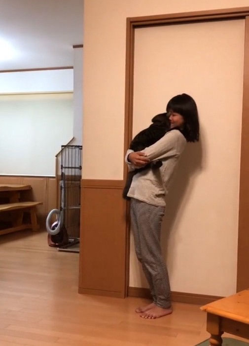 頭を押し付ける猫