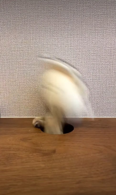 おてて