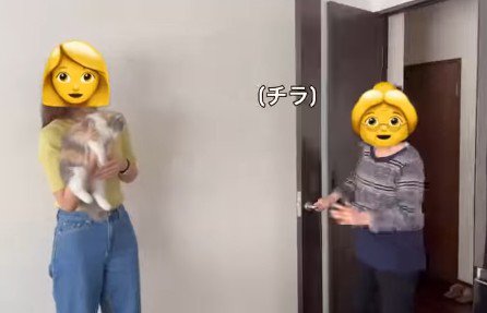 猫を抱っこする女性とおばあちゃん