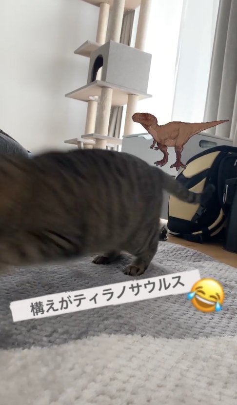画面左側に飛び出していき顔が見切れている猫