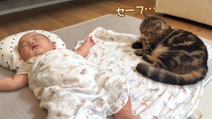 セーフ…