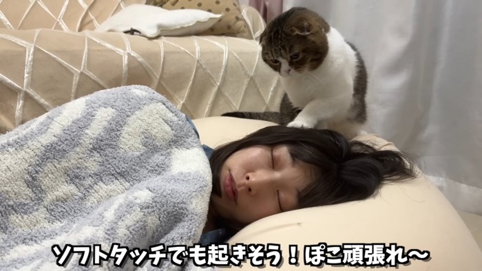 ママを起こすぽこ太郎くん