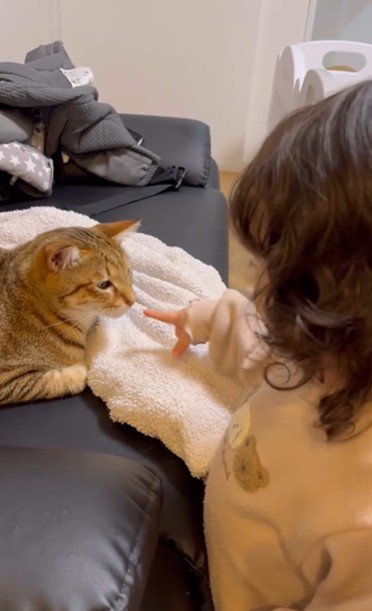 ソファに座っている猫と猫を指さしている子ども