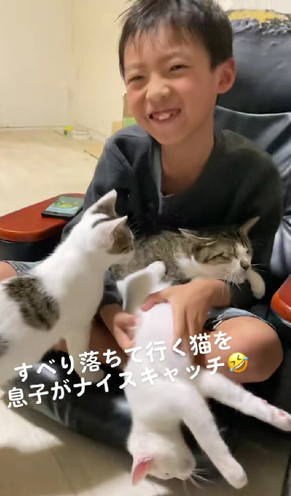 男の子の膝へ引き上げられる猫