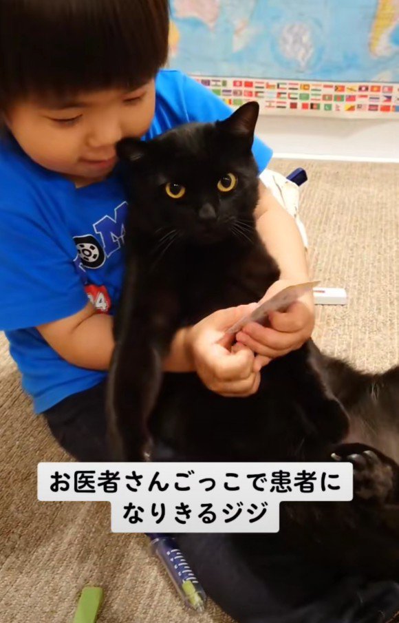 お医者さんごっこ中のジジくんと弟くん