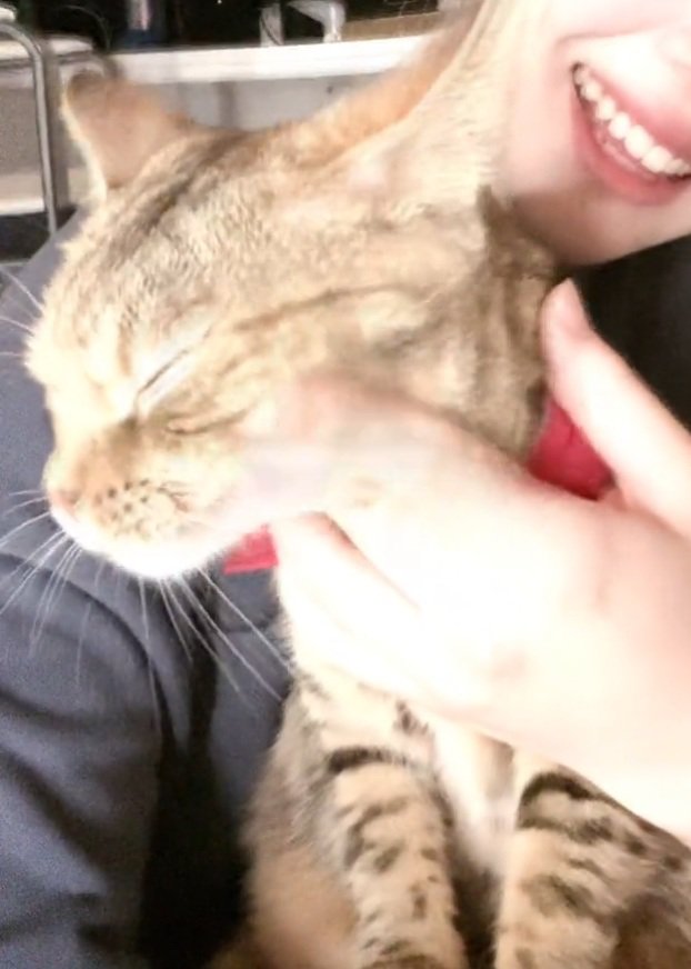 甘えるエーデルちゃん