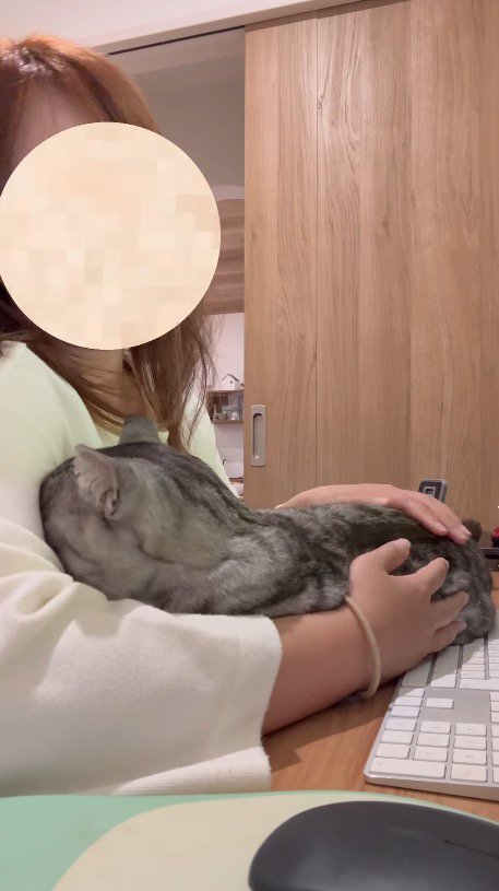 腕の中で眠っている猫を見つめる女性