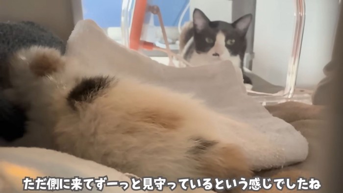 テロップ「ただ側に来て~」