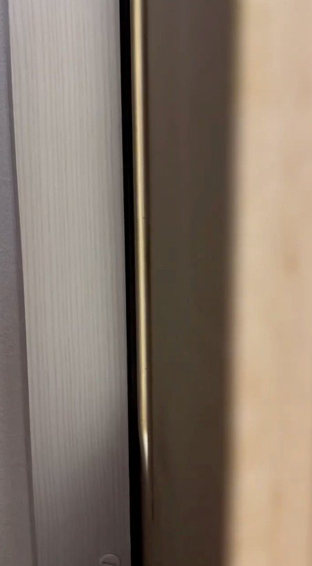 壁の裏に隠れる飼い主