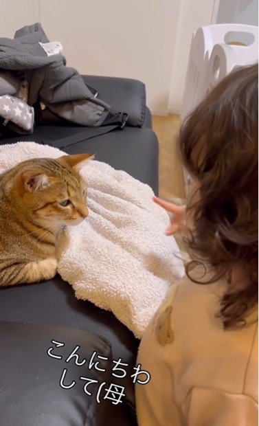 ソファに座っている猫と猫を指さしている子ども