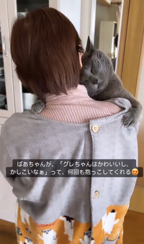 おばあちゃんに両手で抱きついている猫