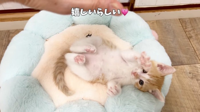 嬉しいらしい