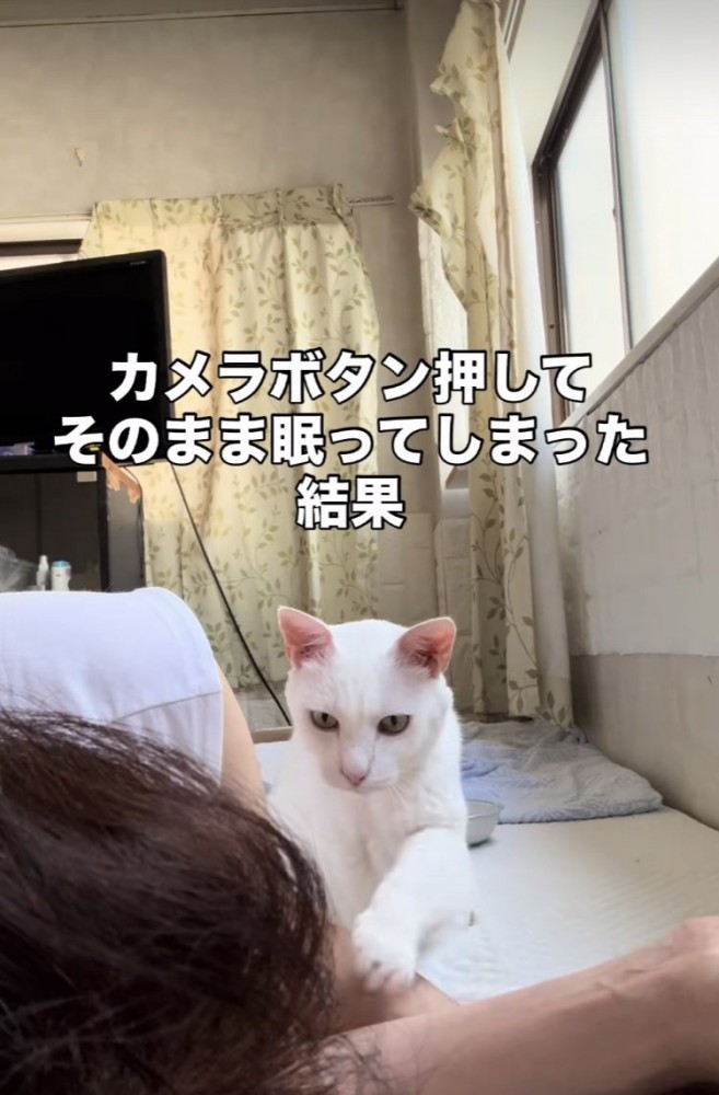 眠るママを起こす白猫