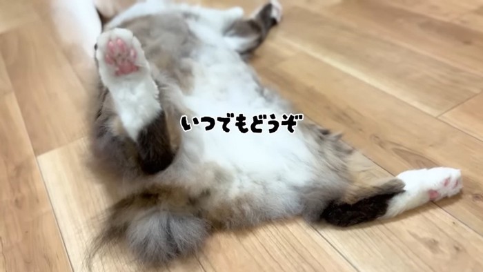 いつでもどうぞ