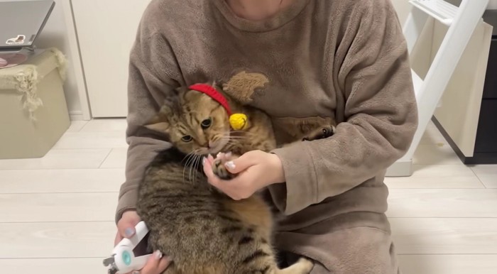 首輪が取れそうなほど激しく抵抗するみにらくん