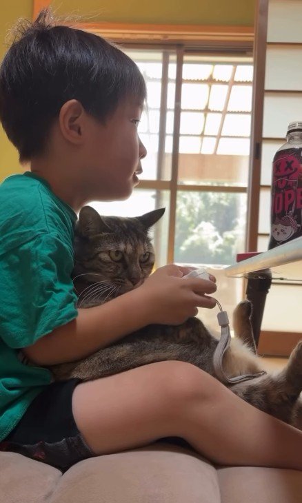 ゲームをしている男の子と猫