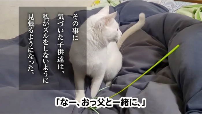 ベッドの上に乗って男性の方を振り向く猫