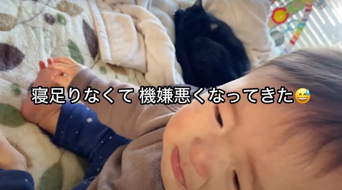 赤ちゃんと黒猫