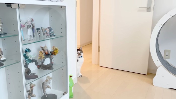 部屋の入り口から