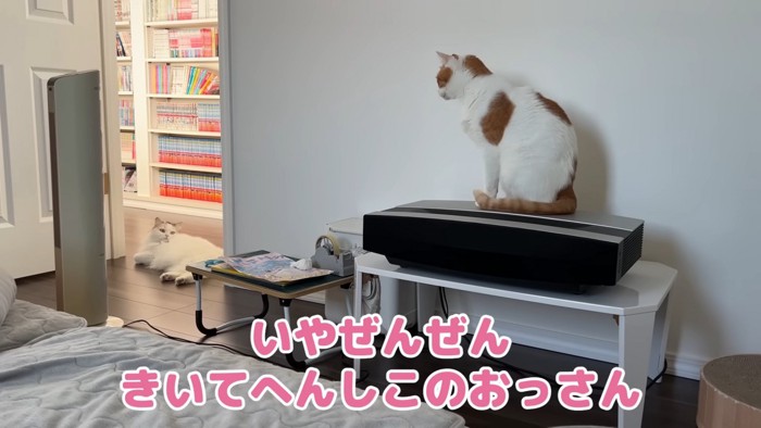 降りる様子のない師匠