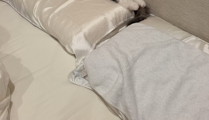 寝室の枕