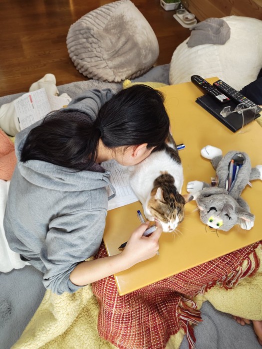 猫吸いをする女の子