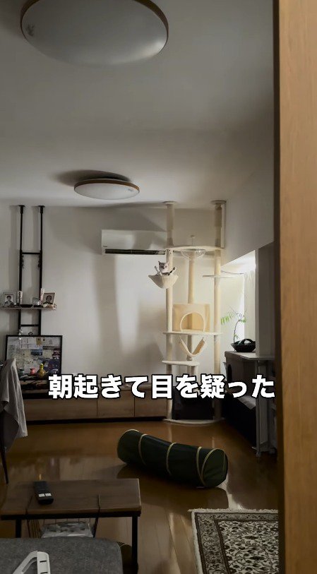 リビングのドアを開けた飼い主