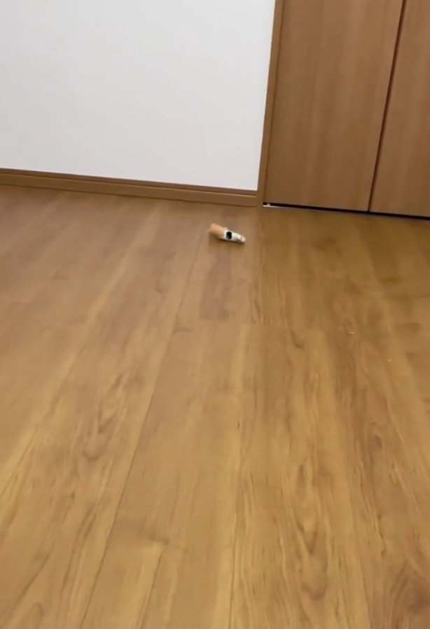 床に落ちているおもちゃ