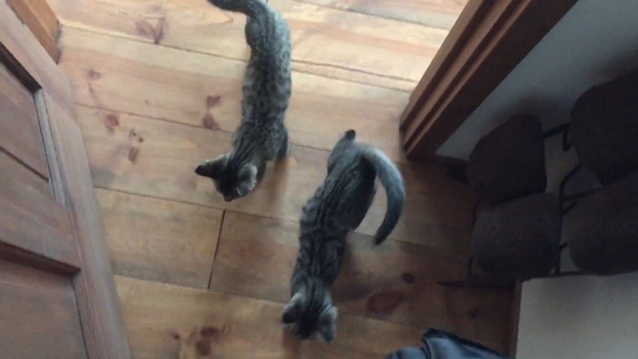 出てきたふたり