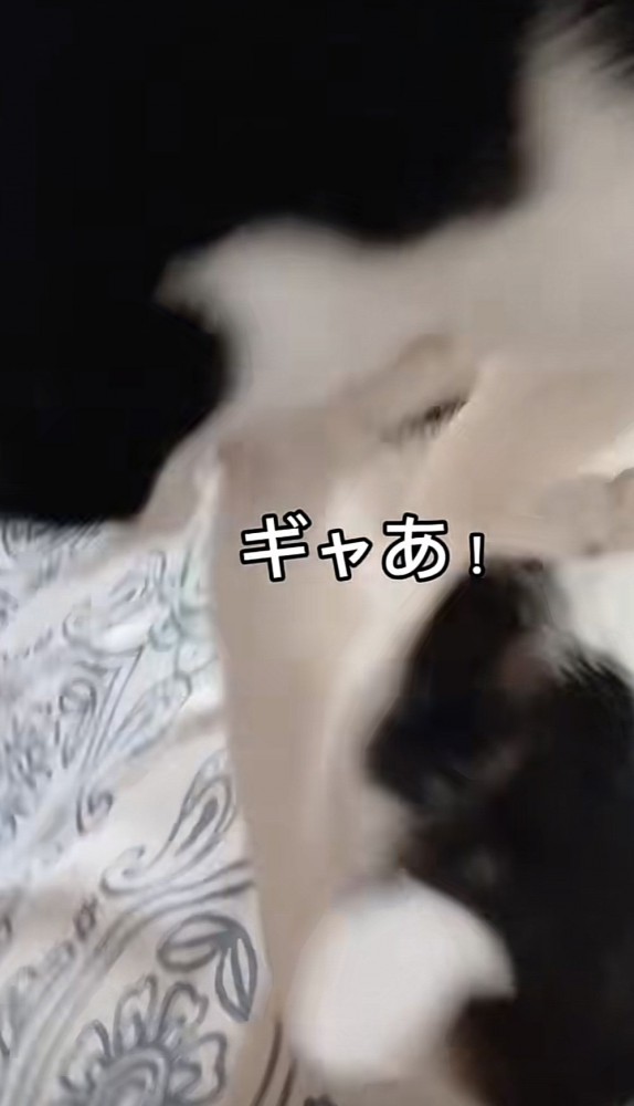 「ギャあ!」のテロップ写真