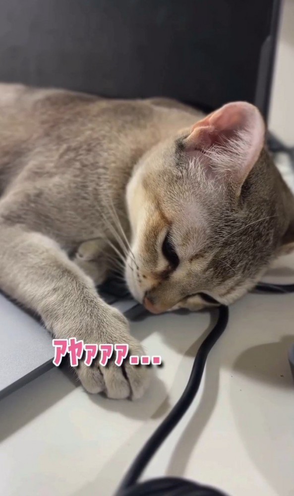 「アヤァァ」と書かれた写真