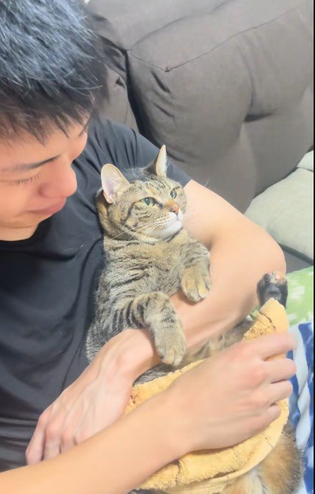 人に抱かれている猫