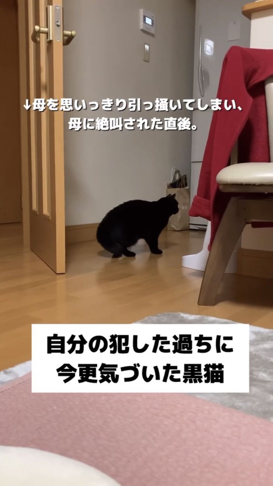 うずくまる黒猫