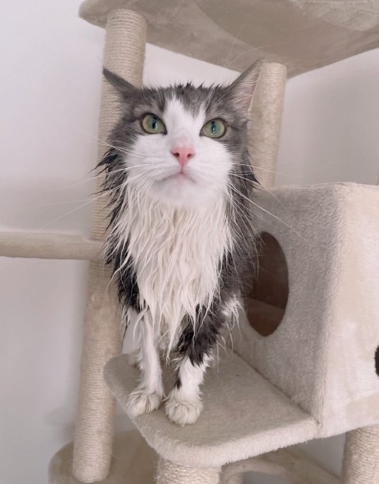 濡れた直哉くん