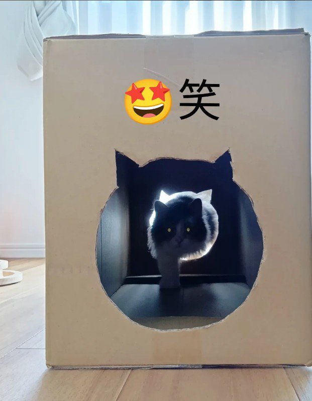 段ボールをくぐる猫%%段ボール遊びが好き