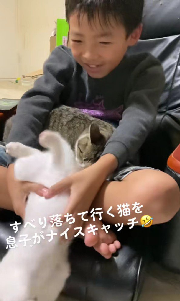 猫をキャッチする男の子