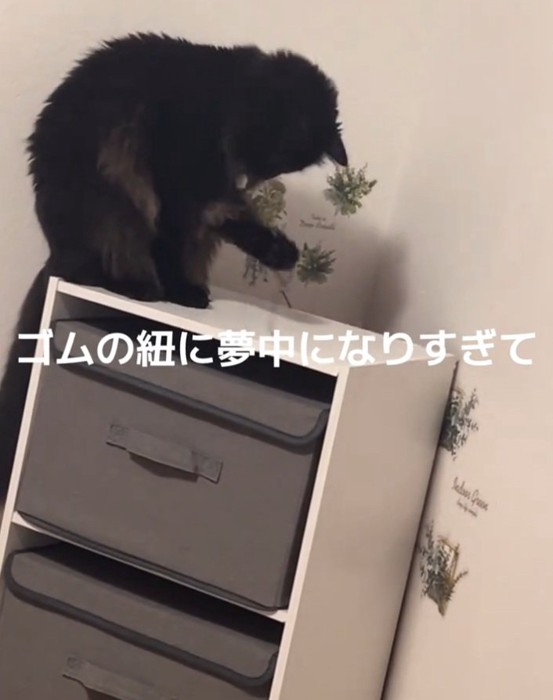 右手を上げるジジちゃん