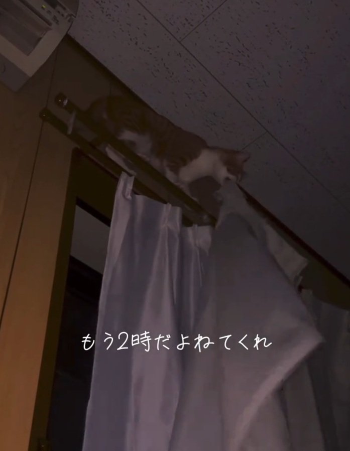 カーテンを外し始めるこっちゃん