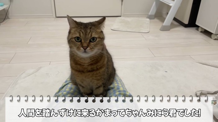 テロップ「人間を踏んずけにくる～」