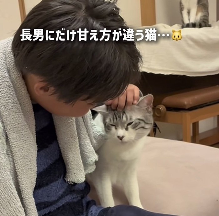 長男くんに頭を撫でられる保護猫