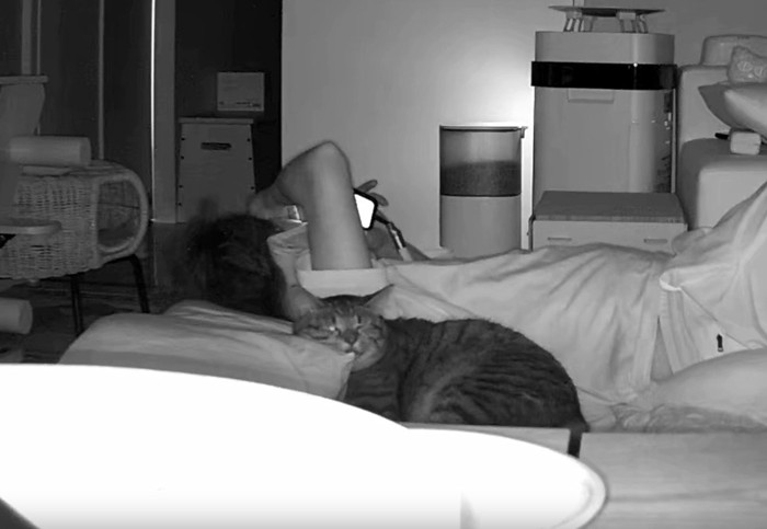 猫と寝転がっている飼い主