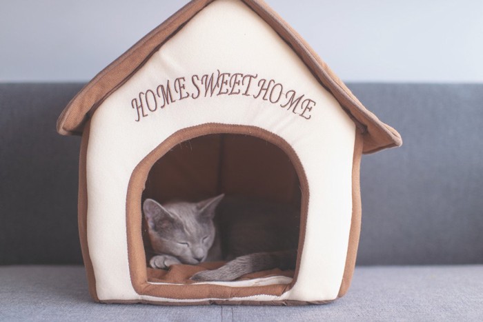 屋根付きのベッドで寝る猫