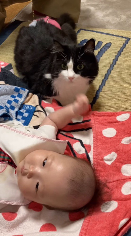 手を持ち上げる赤ちゃん