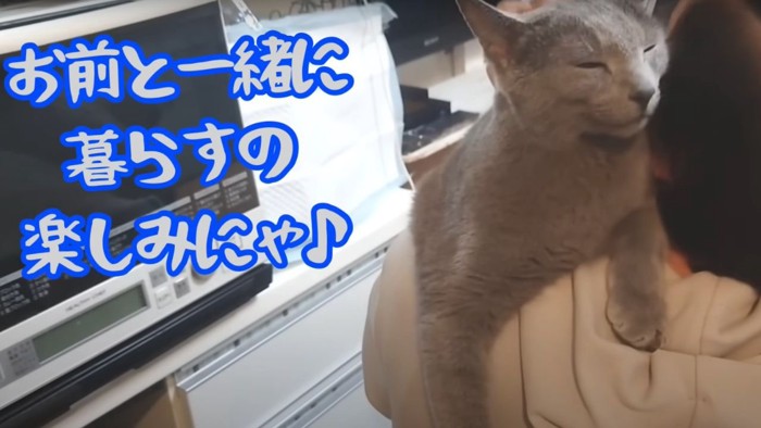 人間の肩に乗る猫