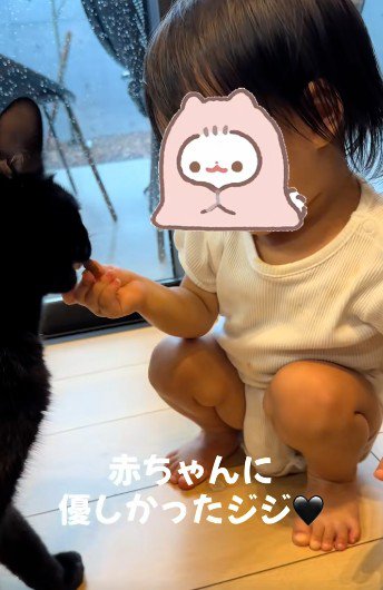 赤ちゃんからおやつをもらっている猫