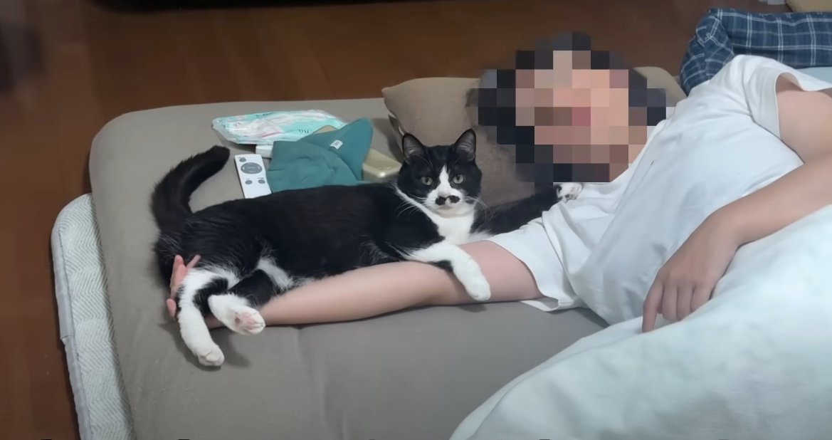 寝ている人にくっつく猫