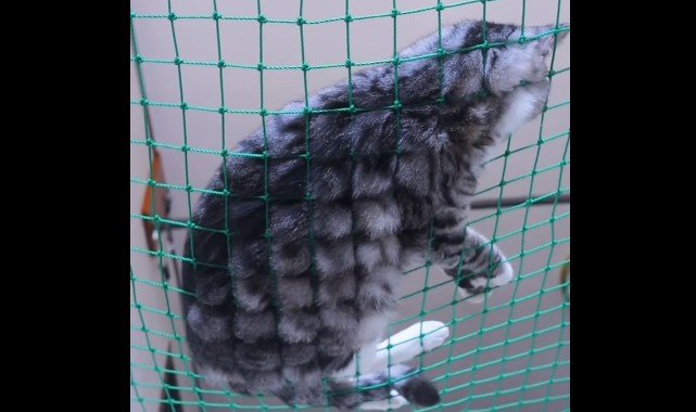 横たわる姿のアップ